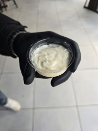 Mayo