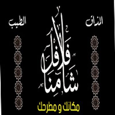 فلافل شامنا logo