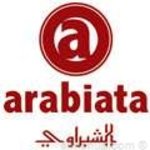 عربياتا الشبراوي photo 1
