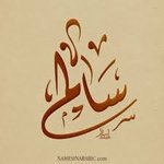 سالم المدحش logo